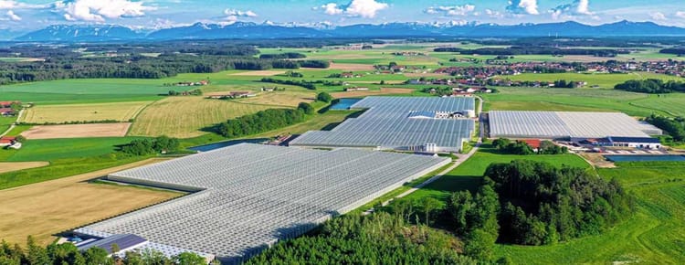 Issiqxonalarni Moliyalashtirish