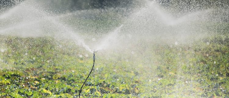 Sprinklerlar, mikro sprinklerlar va maxsus tomizgichlar