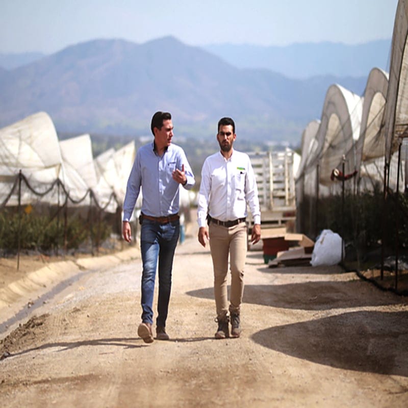 Issiqxonalarni Moliyalashtirish