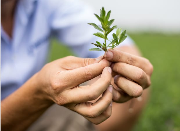 Oziq-ovqat xavfsizligi